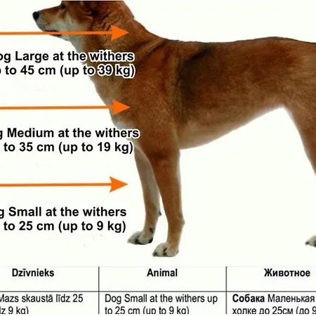 Appartamento The Vintage *