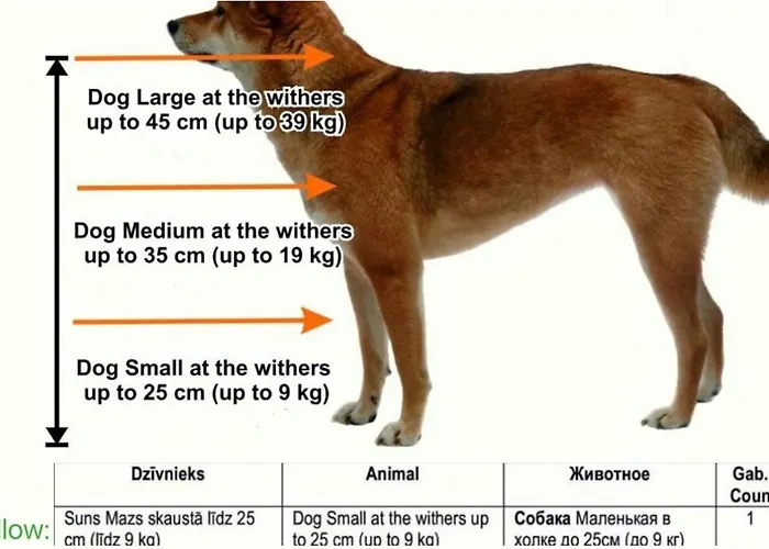 Апартаменты The Vintage *